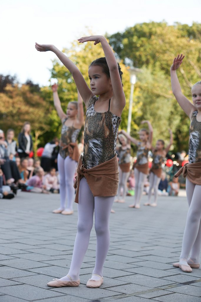 Schoolplein Festival B 175.jpg